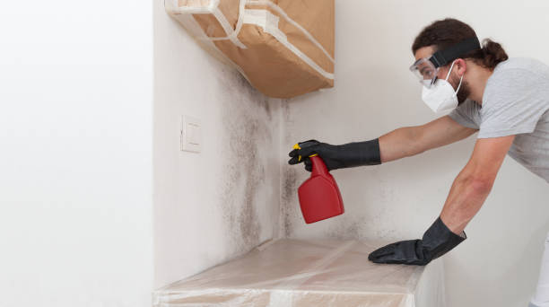 Professional Bathroom Mold Removal technician working in Princeton Junction, NJ